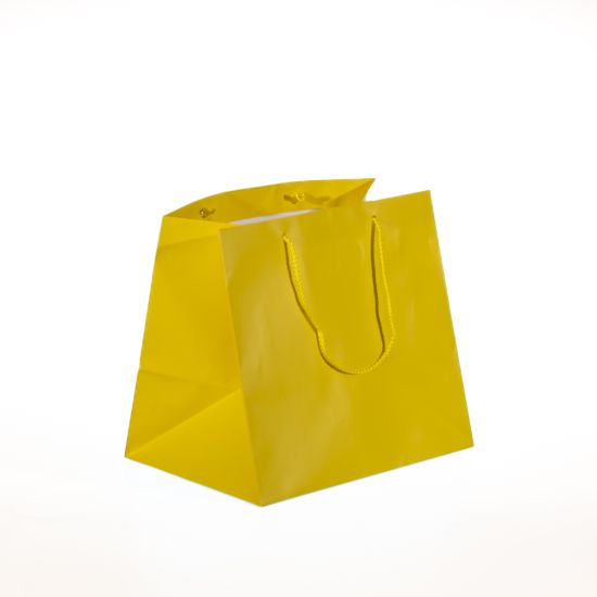 Borsa in carta con manico a corda 36X41+12