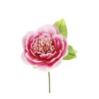 Fiore decorativo Peonia