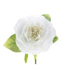 Fiore decorativo Peonia