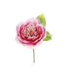 Fiore decorativo Peonia