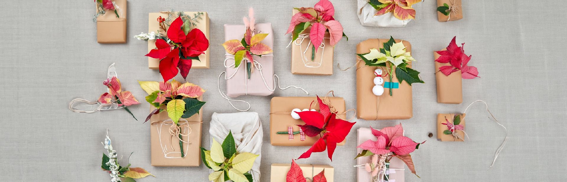 Carta Regalo